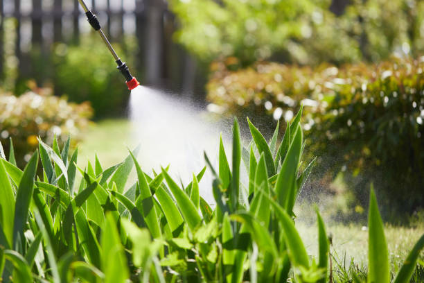 24/7 Emergency Mosquito Control experts in Monroeville, PA